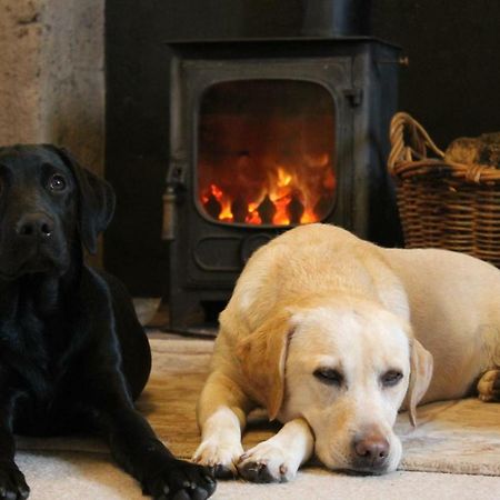 Cardross Holiday Cottages Arnprior Luaran gambar