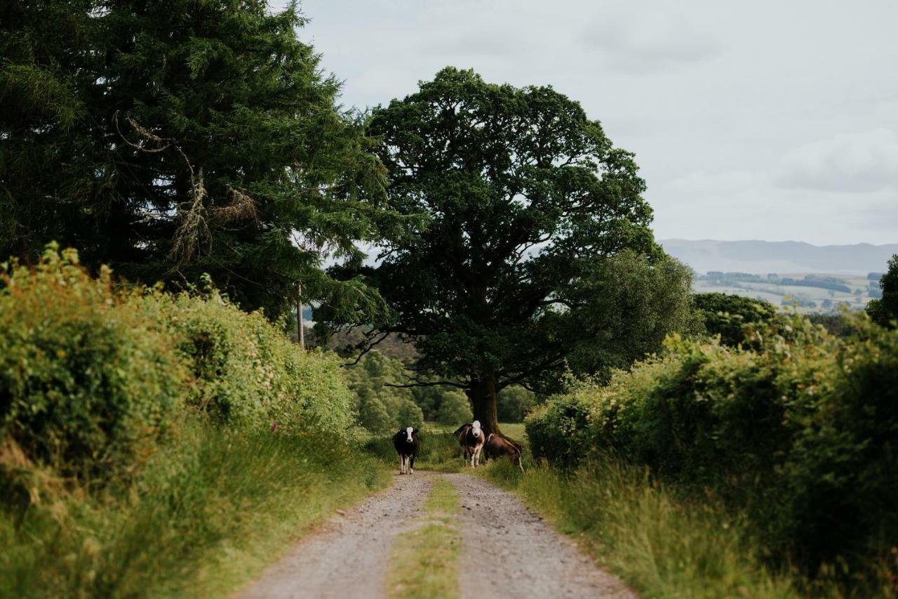 Cardross Holiday Cottages Arnprior Luaran gambar