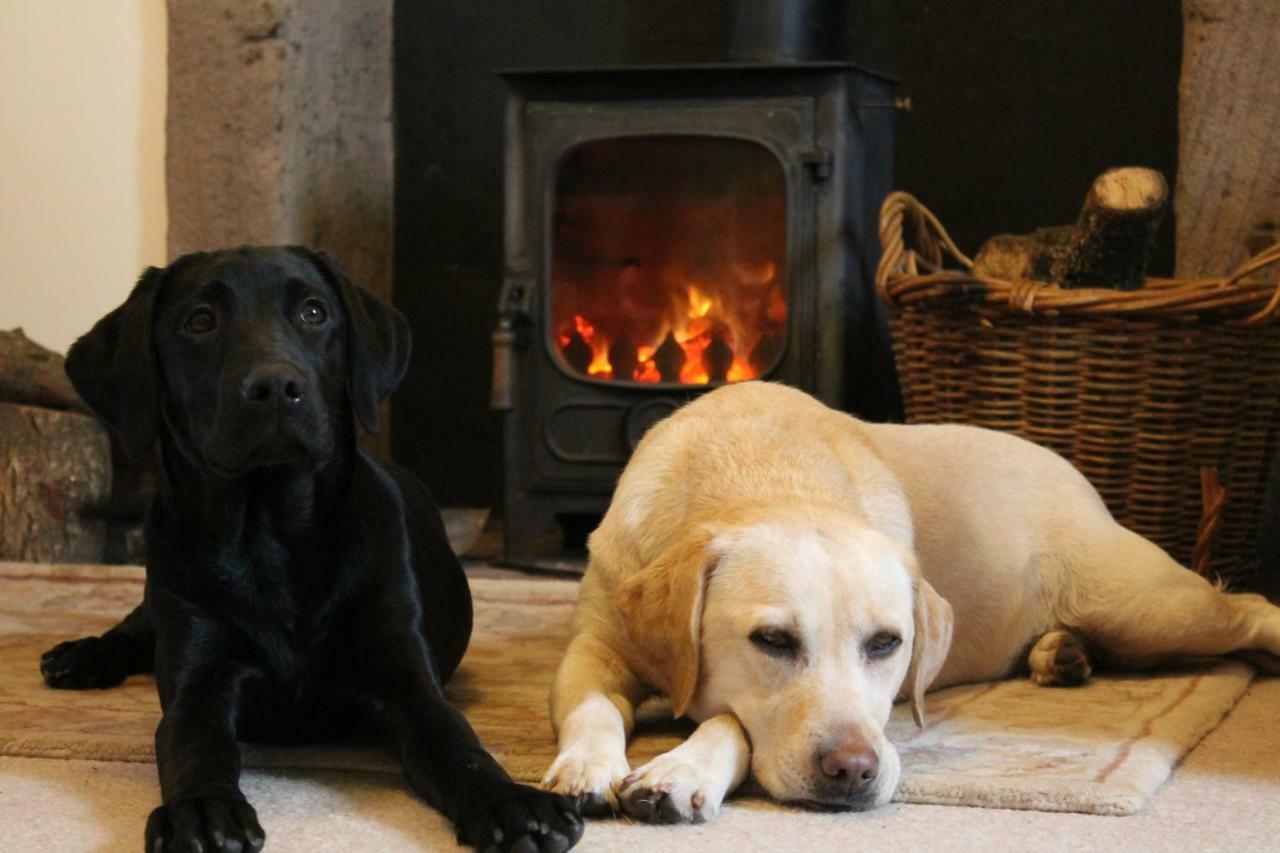 Cardross Holiday Cottages Arnprior Luaran gambar